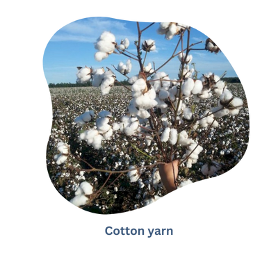 Raw materials where does Cotton comes from - Rochak Handknit
