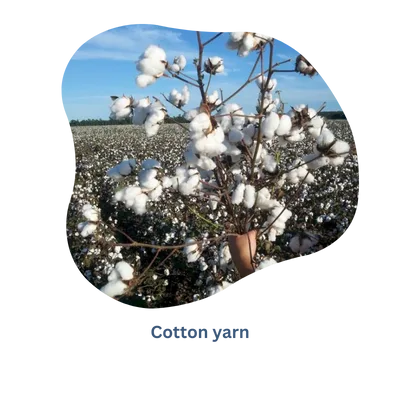 綿の原料はどこから来るのか - Rochak Handknit